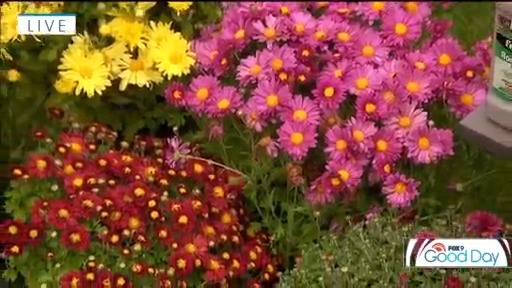 FOX 9 Good Day: Sept. 9, 2025