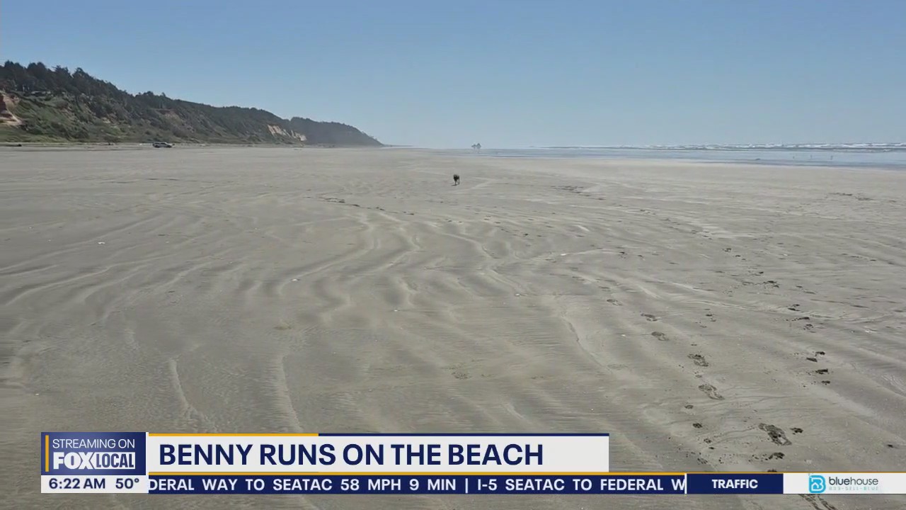 Pet Tricks for Wednesday, May 14