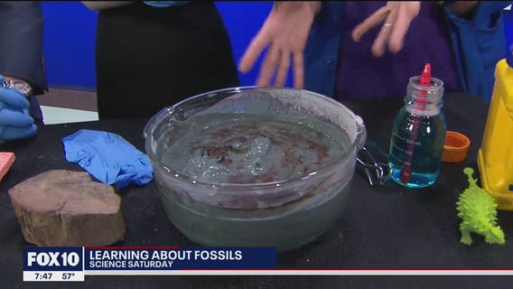 Science Saturday: Fossils