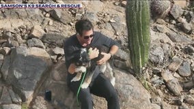 Lost dog reunites with family ahead of Thanksgiving