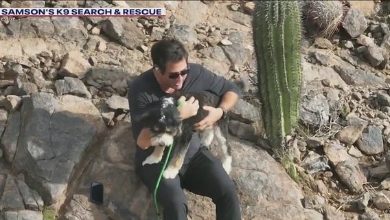 Lost dog reunites with family ahead of Thanksgiving