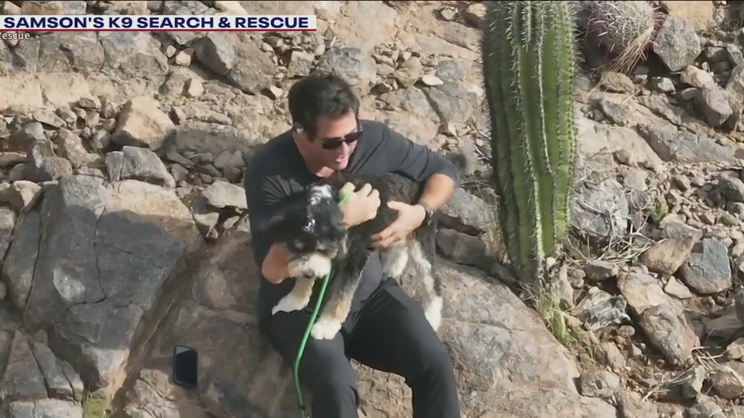 Lost dog reunites with family ahead of Thanksgiving