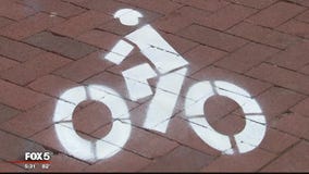 Annapolis business owners unhappy with new temporary bike lanes on Main Street