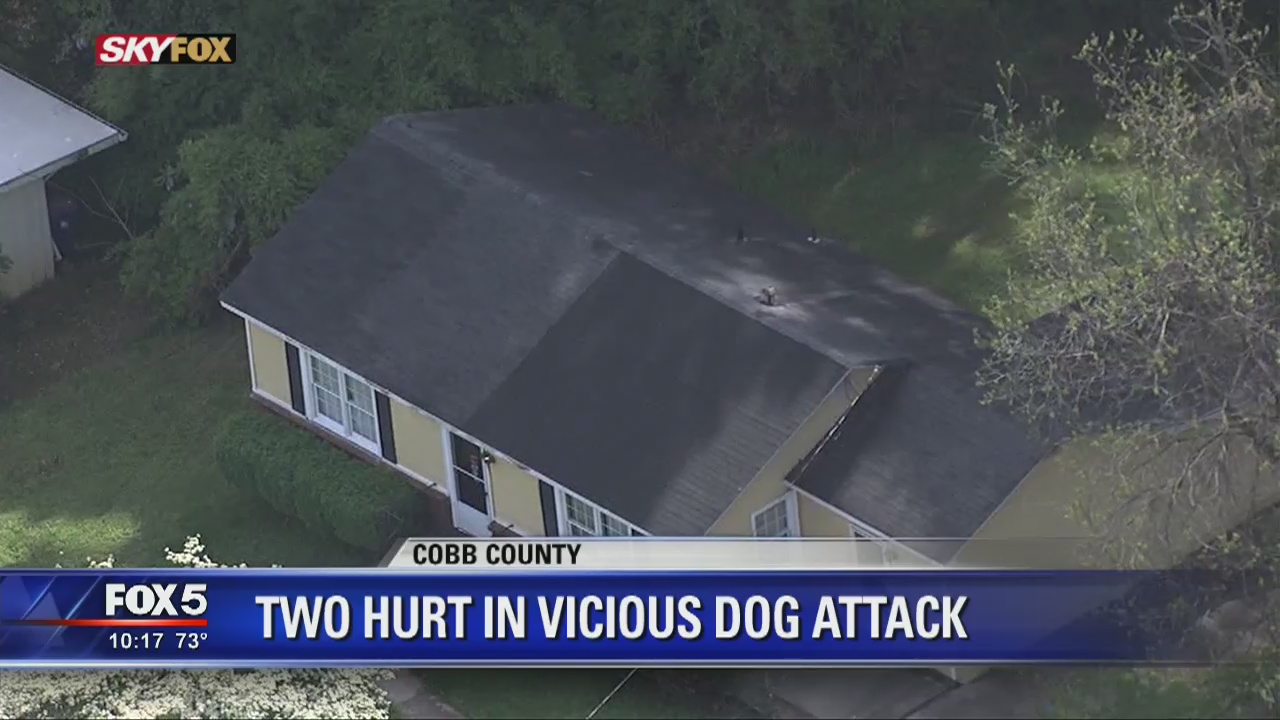 2 hurt in vicious dog attack | FOX 5 Atlanta