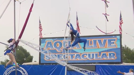 'Imaginarium' comes to Camarillo