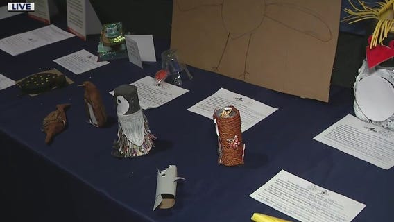 How kids can get a free pass to OdySea Aquarium