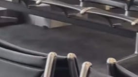 Passengers at DTW spots rats inside terminal.