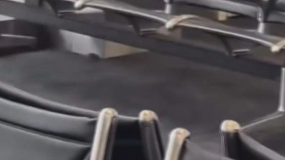 Passengers at DTW spots rats inside terminal.