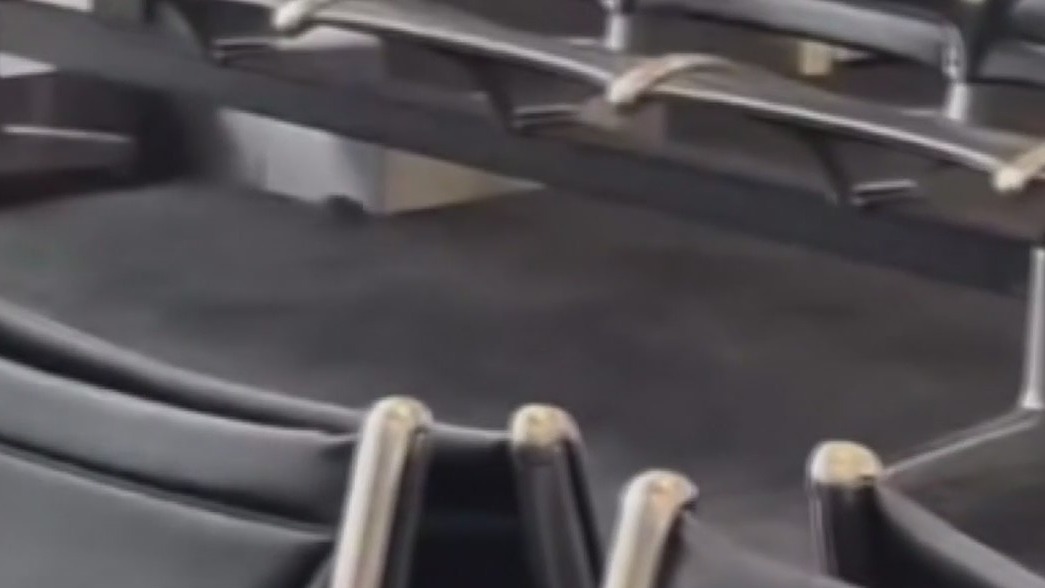 Passengers at DTW spots rats inside terminal.