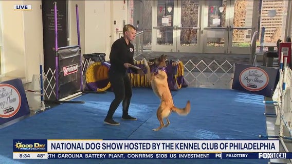 National Dog Show This Weekend