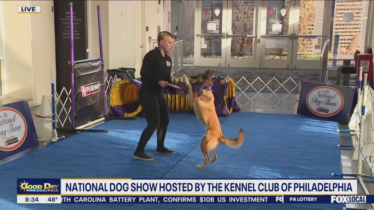 National Dog Show This Weekend
