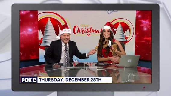 Good Day Goodies: December 26, 2025