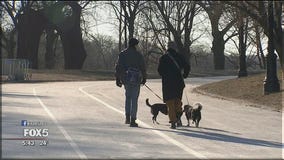 Prospect Park goes car-free