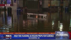 Old Town Alexandria floods again