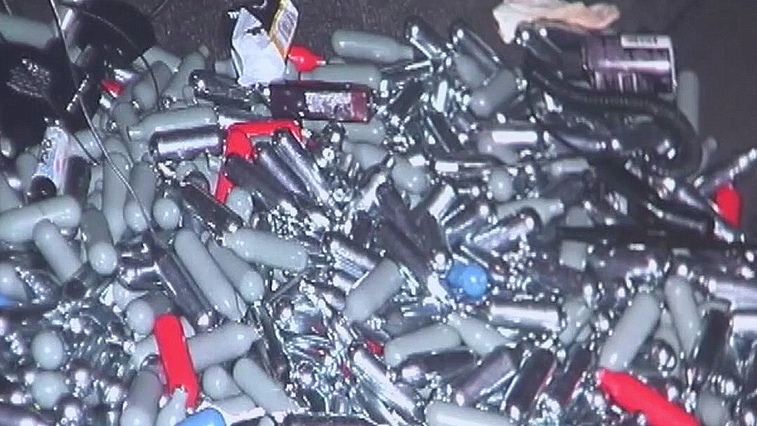 State lawmakers pursue whippet ban after Clinton Township explosion