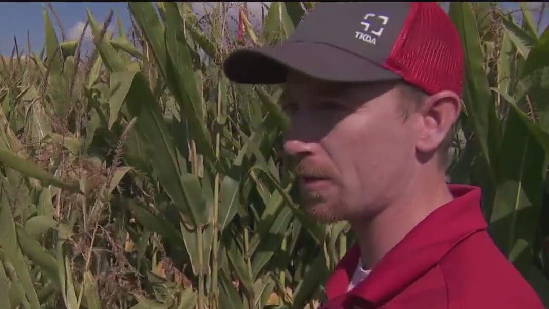 How will the drought affect fall activities?