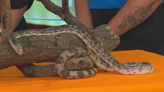 2025 Association of Zoos & Aquariums conference