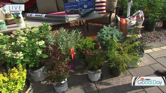 Adding some curb appeal to your home