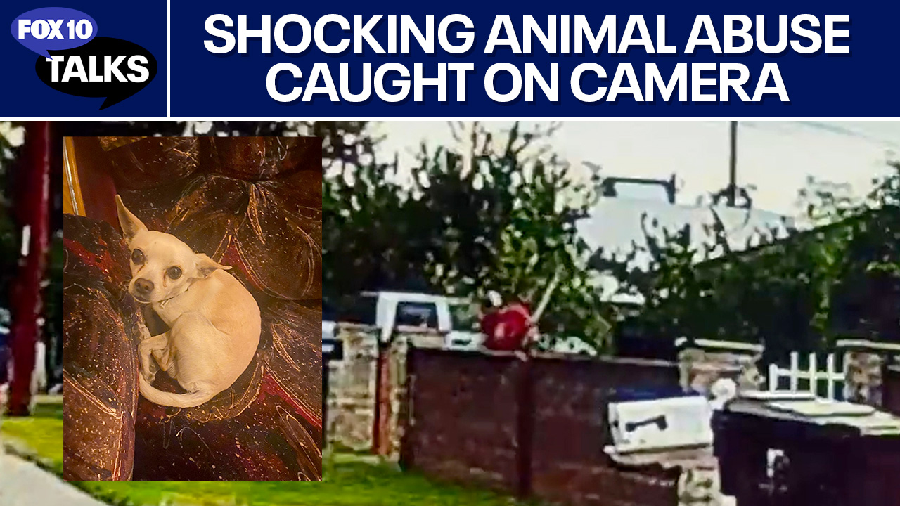 Family devastated over dog's beating death l FOX 10 Talks