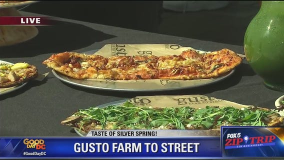 Silver Spring | Zip Trip: Gusto Farm to Street