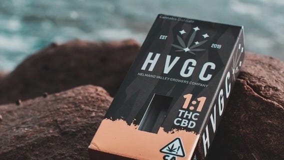 FOX 7 Care Force: Helping veterans with PTSD with medical marijuana