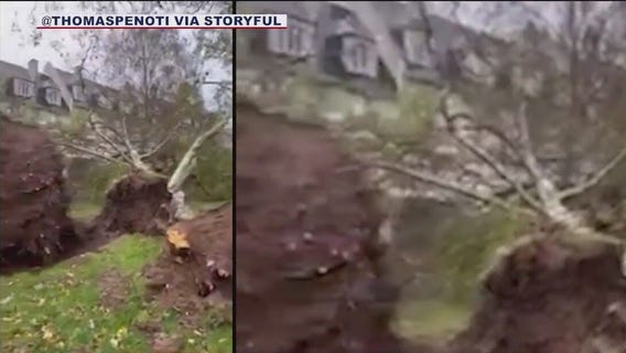 Storm Ciaran lashes northwestern France