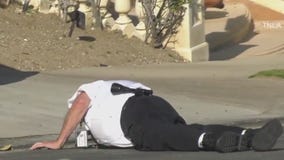 2 hurt in brutal bee attacks in LA