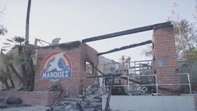 LA wildfire victims devastated by destruction