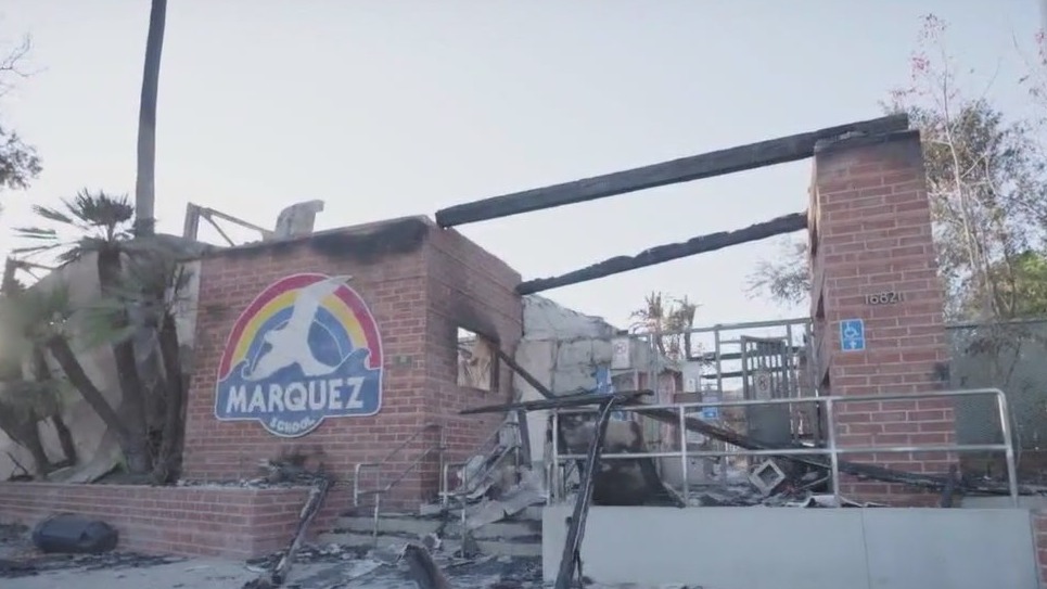LA wildfire victims devastated by destruction