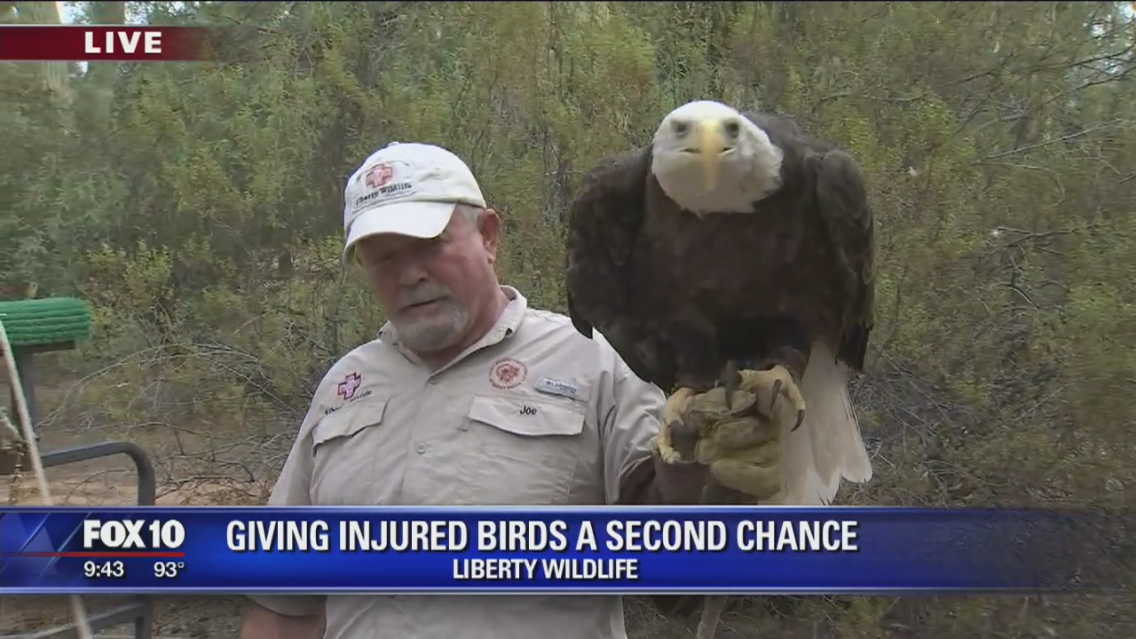 Cory's Corner: Liberty Wildlife