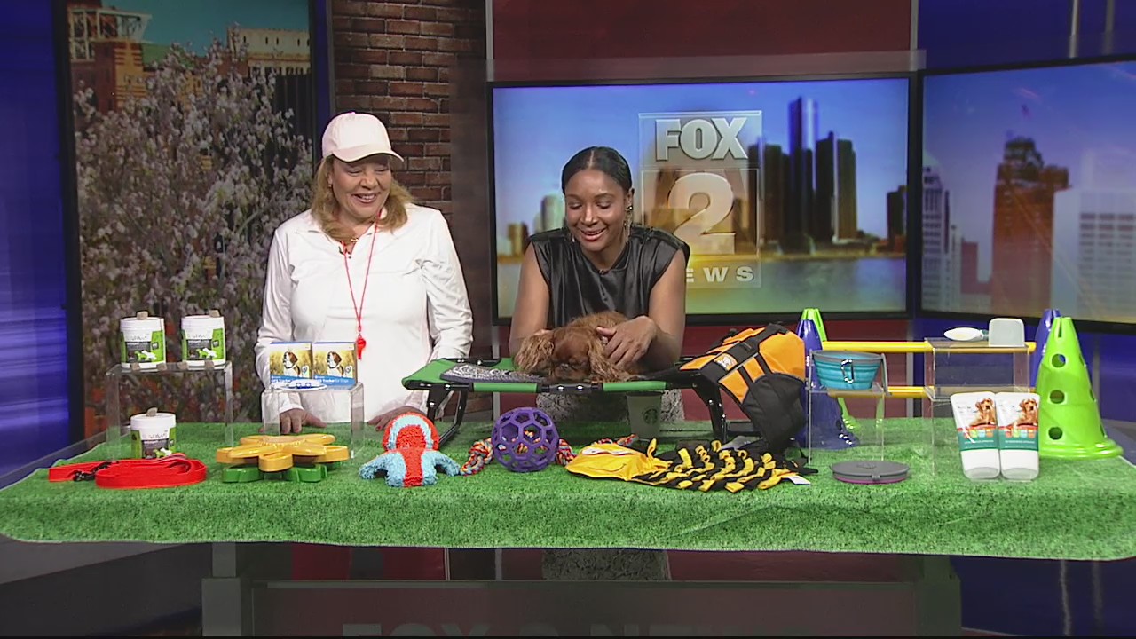 Workouts for your pup during Canine Fitness Month