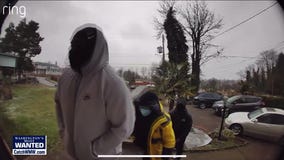 WANTED: Armed home invaders