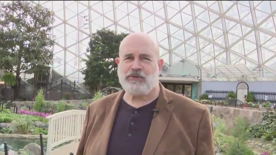 Art in the Green and Tea and Tulips