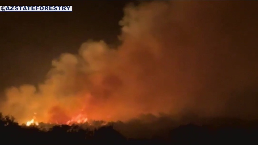 Freeman Fire: 31.7k acres burned, 5% containment | FOX 10 Phoenix