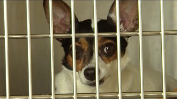 New Florida laws in 2026