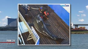 Mary Lee the shark swims near Sea Isle