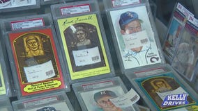 Fun Collectible Items at The Den