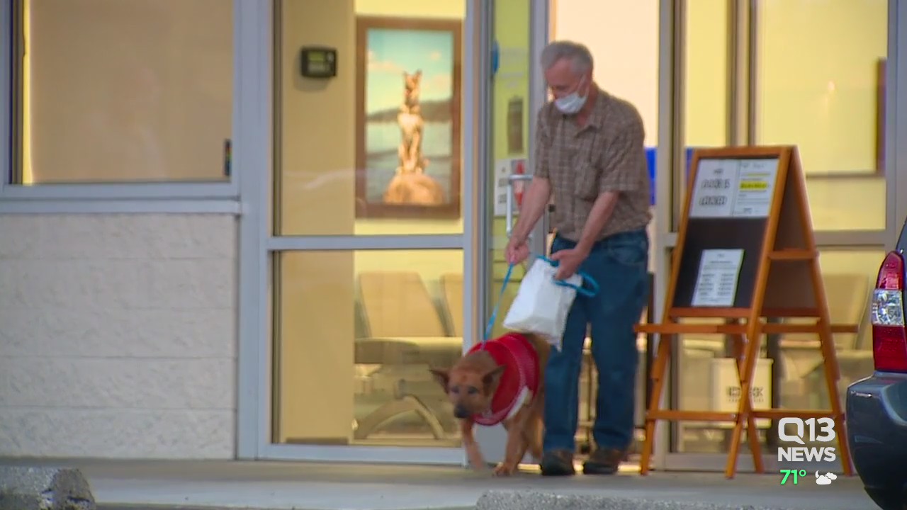Owner reunited with dog after attacker stabbed both of them in Shoreline