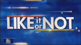 LION: November 17, 2025