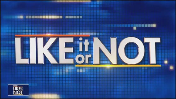 LION: November 17, 2025