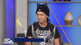 Sea-Meow Con coming to Seattle