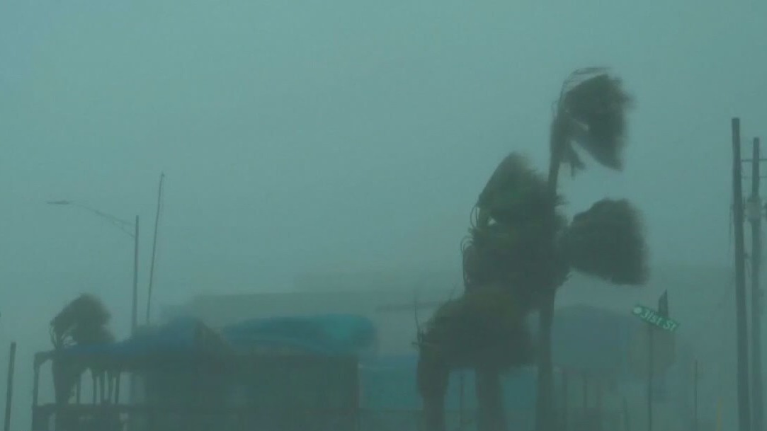 Hurricane Beryl response