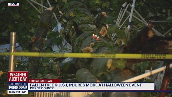 1 dead, several injured after tree falls near Roy, WA during Halloween event