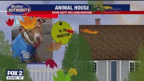 Welcome Winston, Lucy, Sugar, Mr. Zoomah