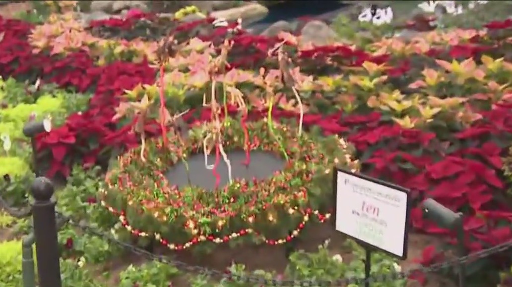 Getting a glimpse of the plants, décor