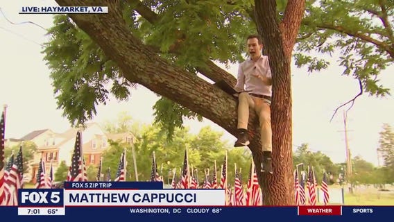 Up in a tree with Matthew Cappucci!