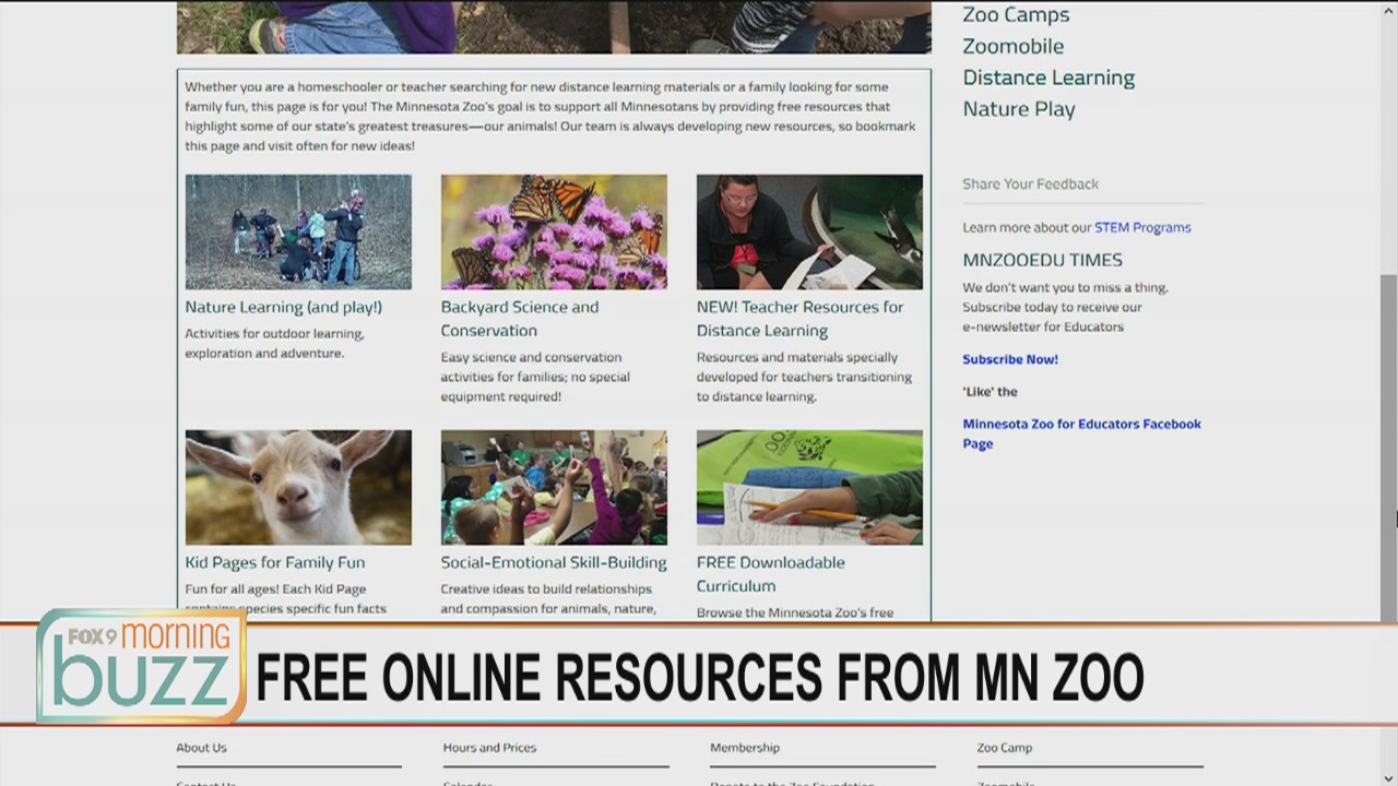 Getting your wildlife fix online - the Minnesota Zoo boosts free offerings amid closure
