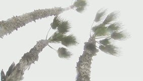 Seal Beach storm latest