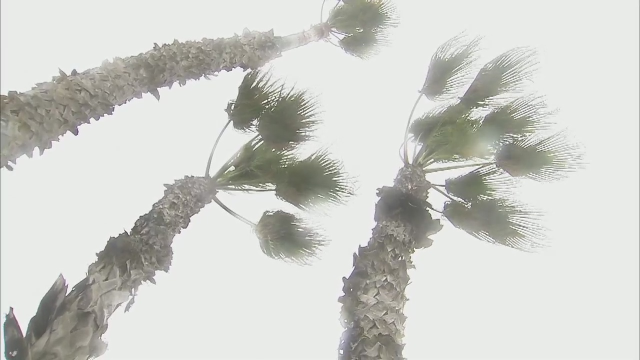 Seal Beach storm latest