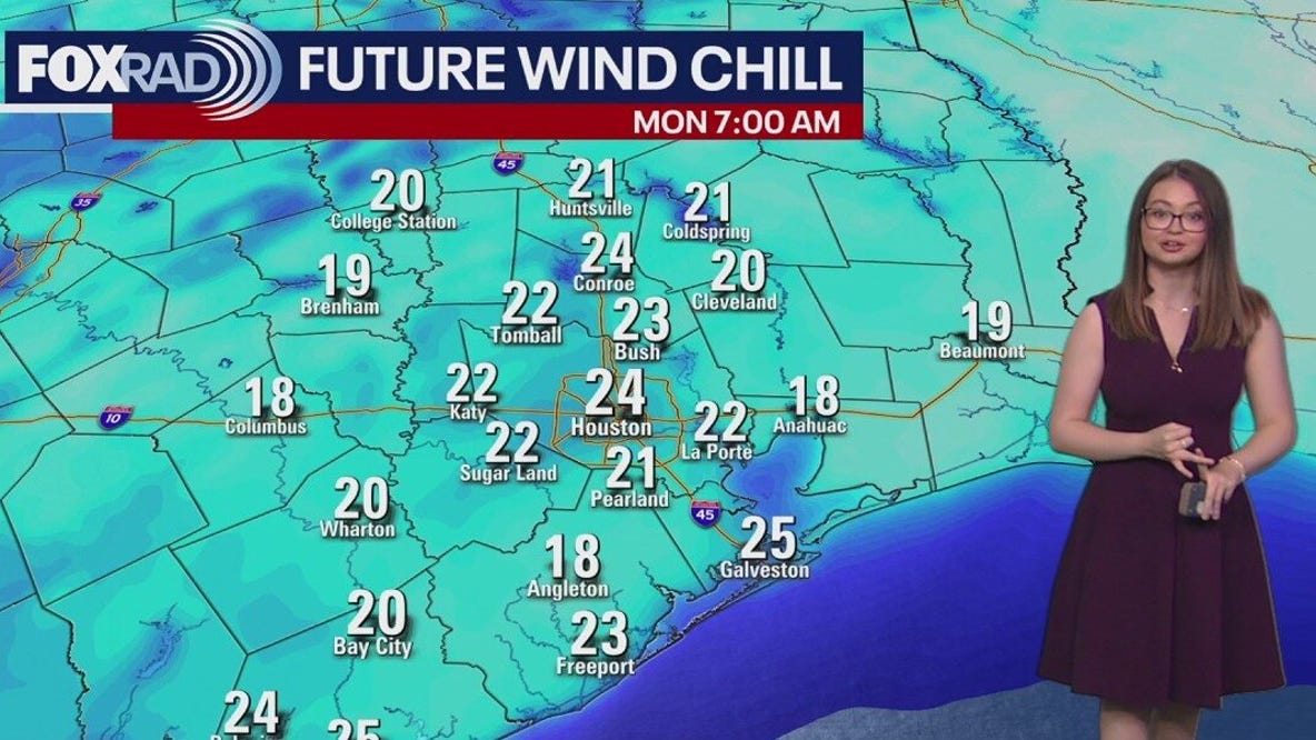 Houston morning news: Possible freeze incoming, deadly crashes, new Galveston cruise ship, and more